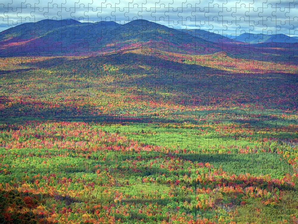 Foliage Jigsaw Puzzle featuring the photograph The View from Quill Hill by Rick Berk