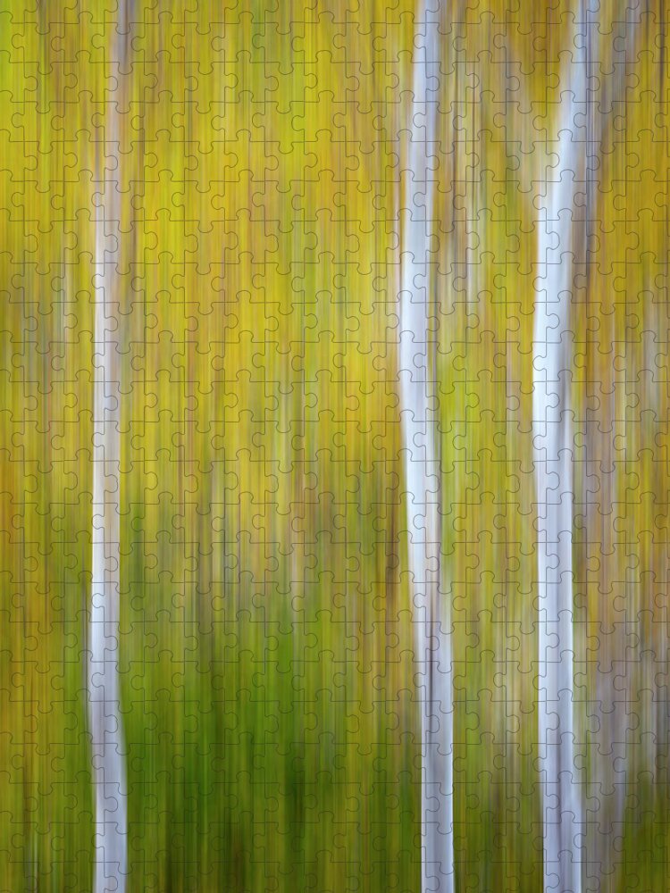 3scape Jigsaw Puzzle featuring the photograph Three Aspens in Autumn Abstract by Adam Romanowicz