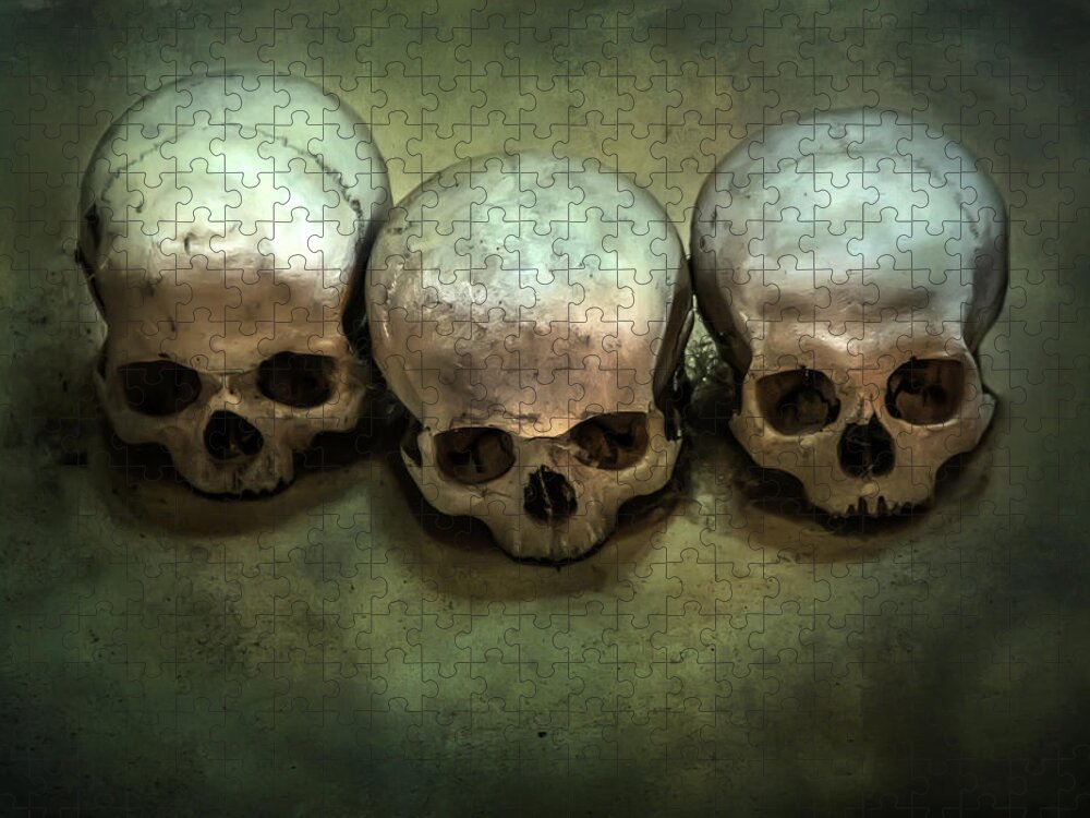 Bone Jigsaw Puzzle featuring the photograph Three human skulls by Jaroslaw Blaminsky