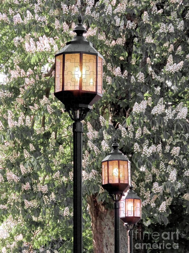 Lanterns Jigsaw Puzzle featuring the photograph Three lanterns aglow by Janice Drew