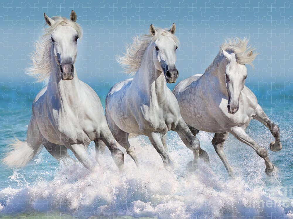 30 x 20 cms. Galloping Trio of White Horses Puzzle 50 pieces 