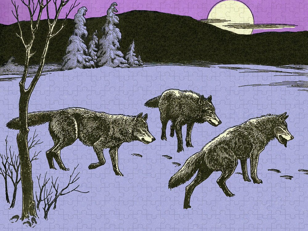 Campy Jigsaw Puzzle featuring the drawing Three Wolves in Winter by CSA Images
