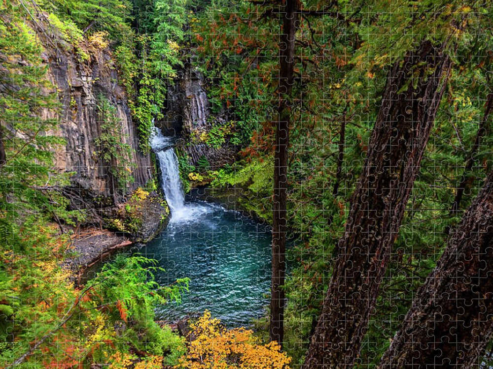 Toketee Falls Jigsaw Puzzle featuring the photograph Hidden Treasure by John Poon