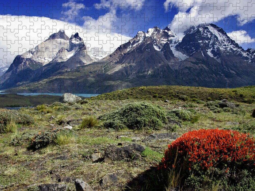 Scenics Jigsaw Puzzle featuring the photograph Torres Del Paine Mountains by © Santiago Urquijo