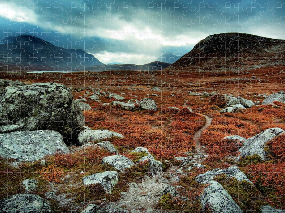 Sweden Jigsaw Puzzle featuring the photograph Towards The Light by Ajliikala
