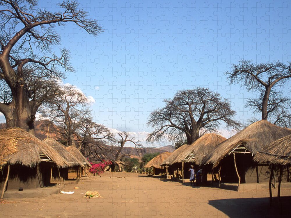 Tranquility Jigsaw Puzzle featuring the photograph Traditional Thatched Houses And Baobabs by © Santiago Urquijo