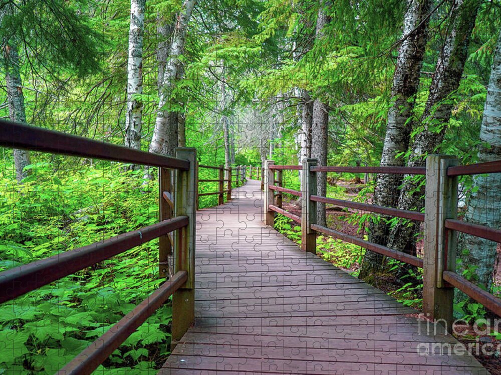  Forest Jigsaw Puzzle featuring the photograph Trail at Gooseberry Falls by Susan Rydberg