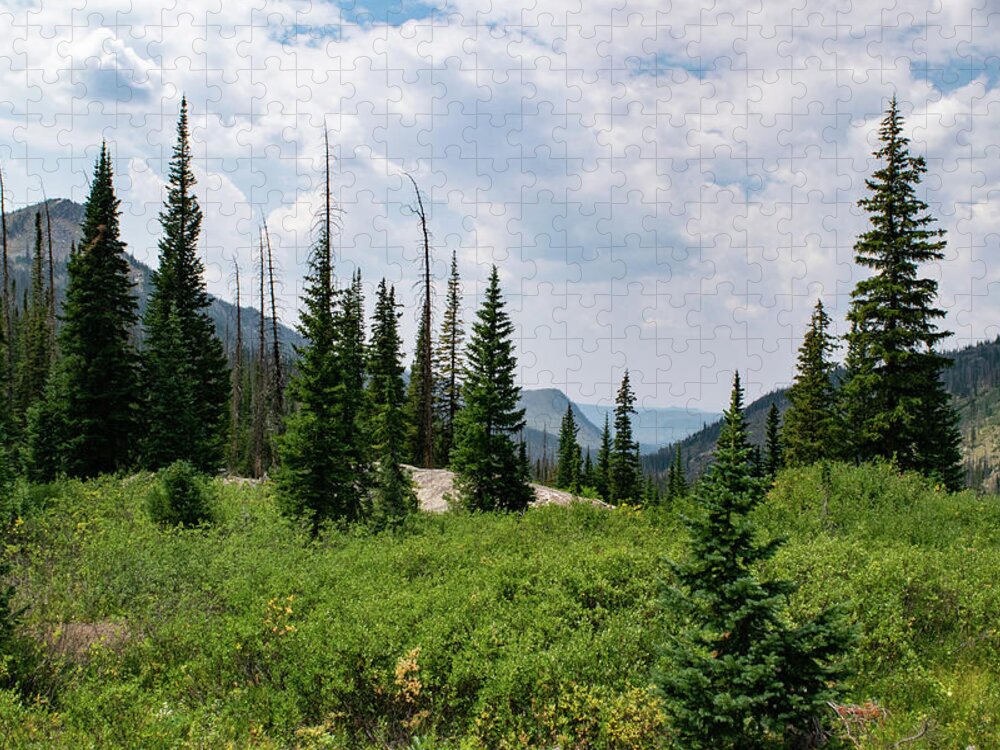 Mountain Jigsaw Puzzle featuring the photograph Trail to Gilpin Lake by Nicole Lloyd
