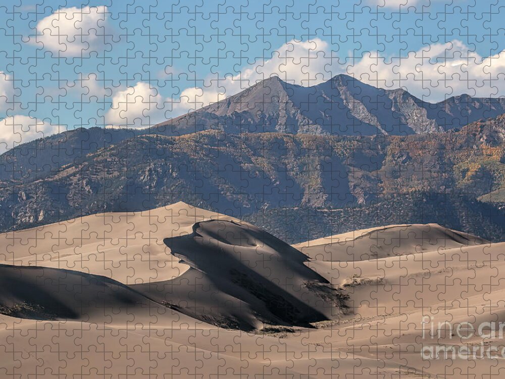 Dunes Jigsaw Puzzle featuring the photograph Transitions by Jim Garrison