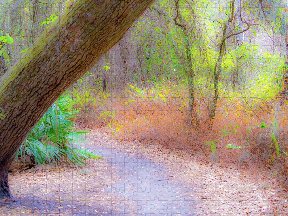 Nature Jigsaw Puzzle featuring the photograph Traveled Paths by Joe Leone