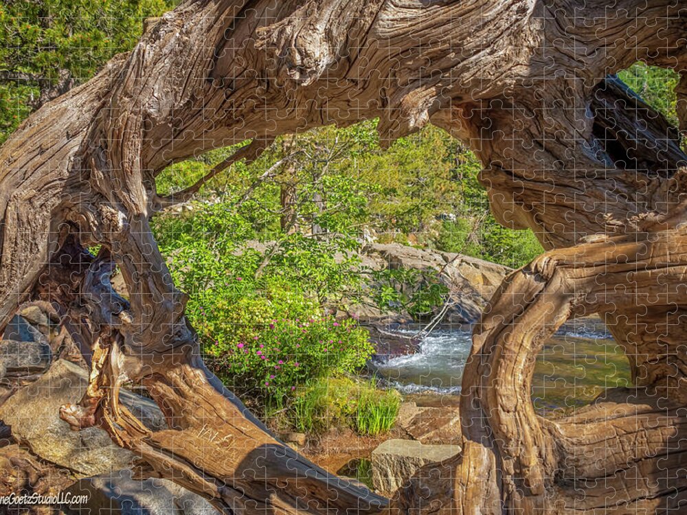 Upper Eagle Falls Jigsaw Puzzle featuring the photograph Tree at Upper Eagle Falls Lake Tahoe by LeeAnn McLaneGoetz McLaneGoetzStudioLLCcom