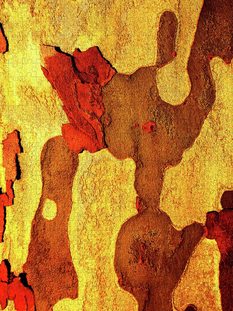 Close Up Textures And Colours Of Tree Bark In Australia Jigsaw Puzzle featuring the photograph Tree bark Series - Peeling #10 by Lexa Harpell