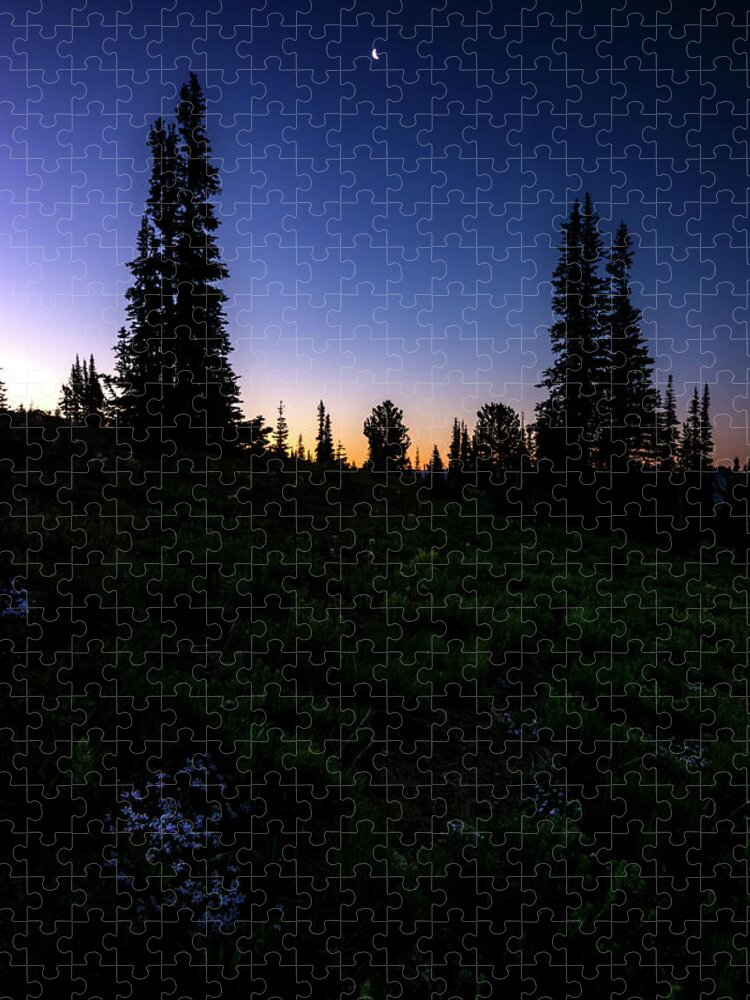 Tree Jigsaw Puzzle featuring the photograph Tree Silhouette Sunrise 2 by Pelo Blanco Photo