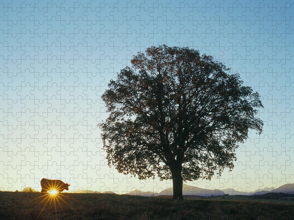 Estock Jigsaw Puzzle featuring the digital art Tree With Cow by Christian Back