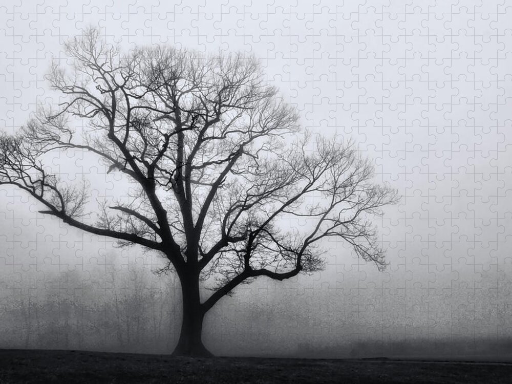 Trees Jigsaw Puzzle featuring the photograph Trees in Fog # 2 by Allen Beatty
