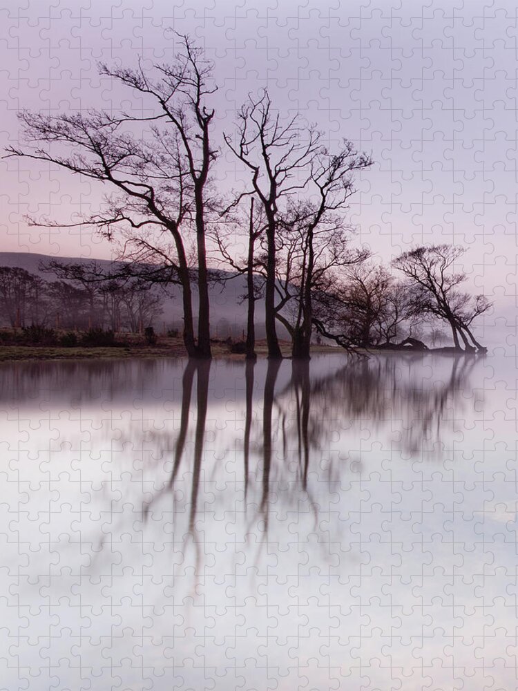 Landscape Jigsaw Puzzle featuring the photograph Trees in the Mist on Lake Ullswater by Anita Nicholson