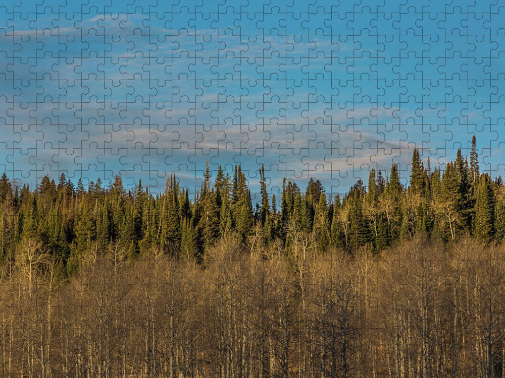 Trees Jigsaw Puzzle featuring the photograph Treescape, Wyoming by Julieta Belmont