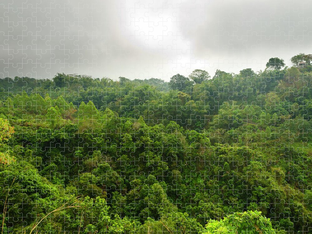 Tropical Rainforest Jigsaw Puzzle featuring the photograph Tropical Forest Segment by Funky-data