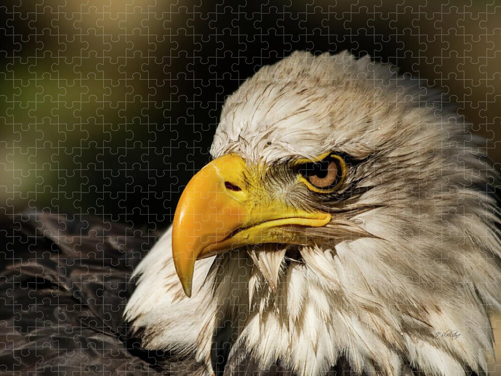 True Strength Jigsaw Puzzle featuring the photograph True Strength - Eagle Art by Jordan Blackstone