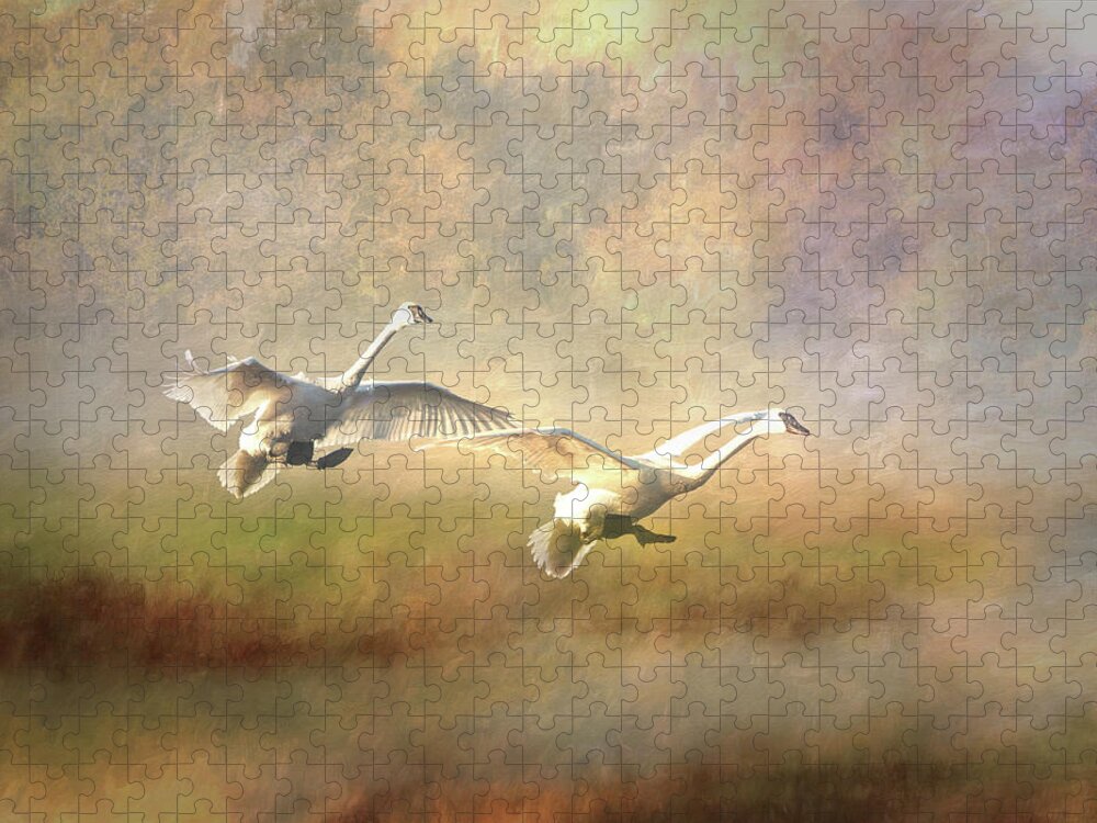 Swans Jigsaw Puzzle featuring the photograph Trumpeter Swan Landing - painterly by Patti Deters