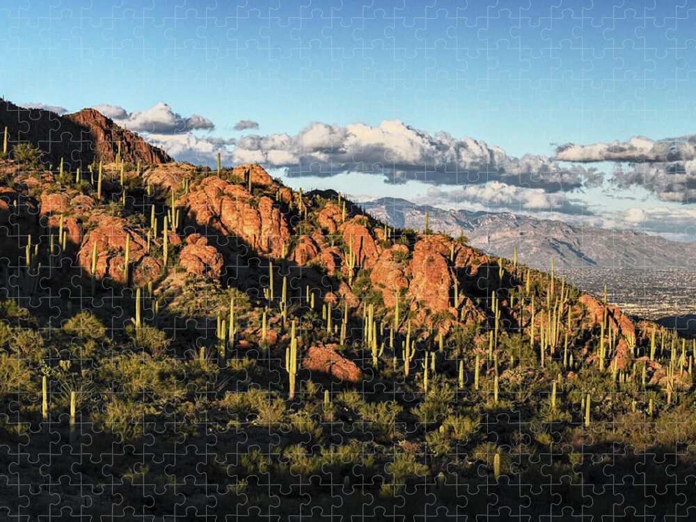 Tucson Jigsaw Puzzle featuring the photograph Tucson Mountains Light Play by Chance Kafka