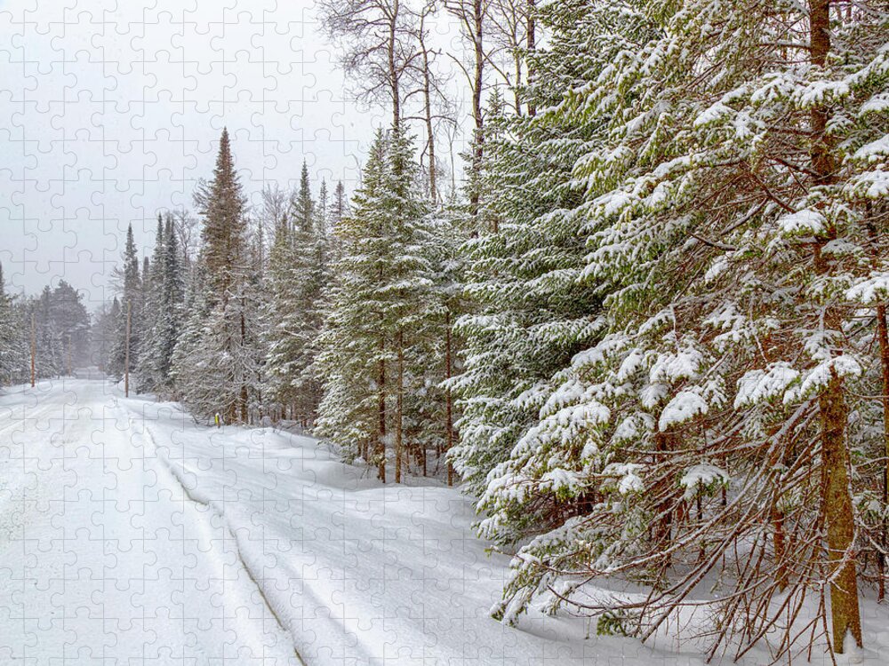 Pines Jigsaw Puzzle featuring the photograph Tug Hill Pines by Rod Best