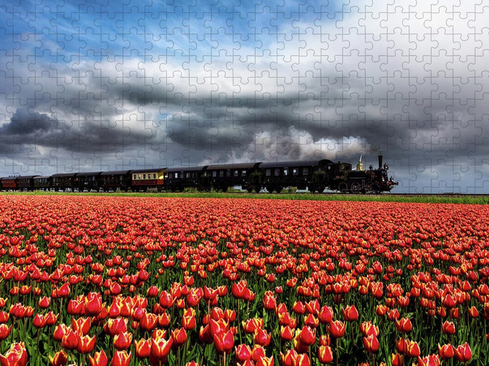 Steamtrain Jigsaw Puzzle featuring the photograph Tulip express by Jorge Maia