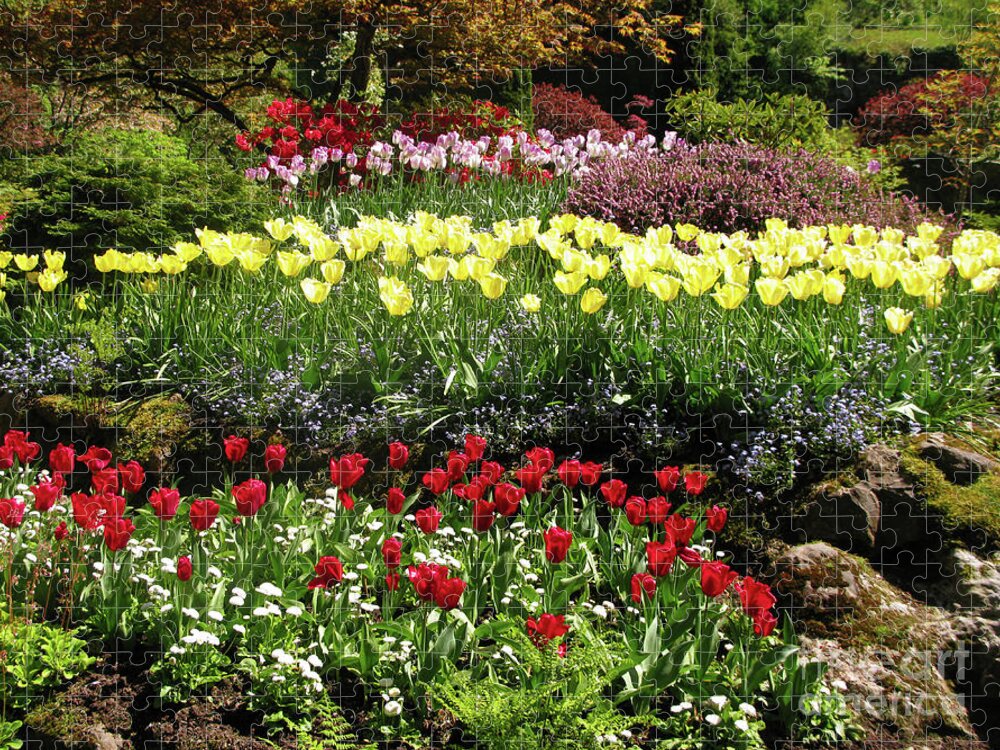 Tulip Gardens Jigsaw Puzzle featuring the photograph Tulip Gardens by Terri Brewster