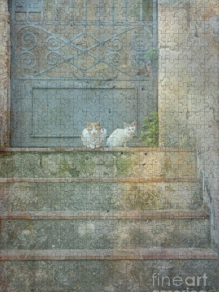 Old Jigsaw Puzzle featuring the digital art Two cats on stairs by Patricia Hofmeester