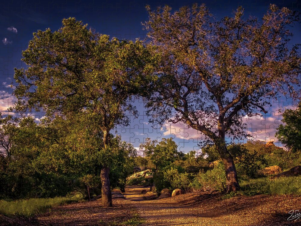 Oak Trees Jigsaw Puzzle featuring the photograph Two Old Oak Trees At Sunset by Endre Balogh