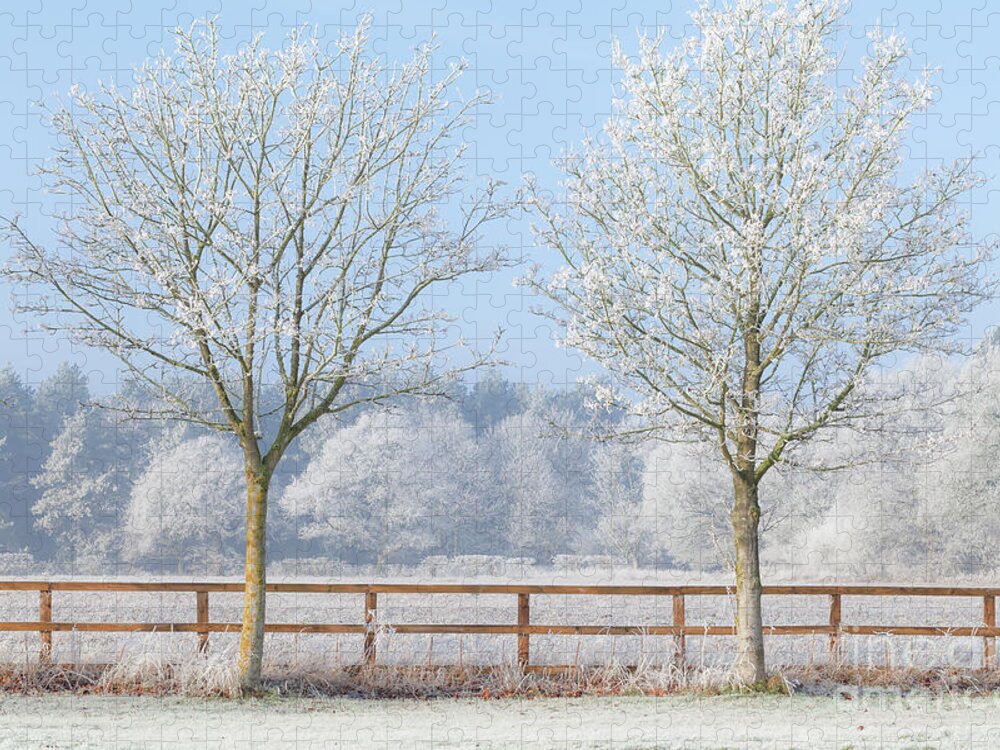 Landscape Jigsaw Puzzle featuring the photograph Two trees in a deep frozen winter by Simon Bratt