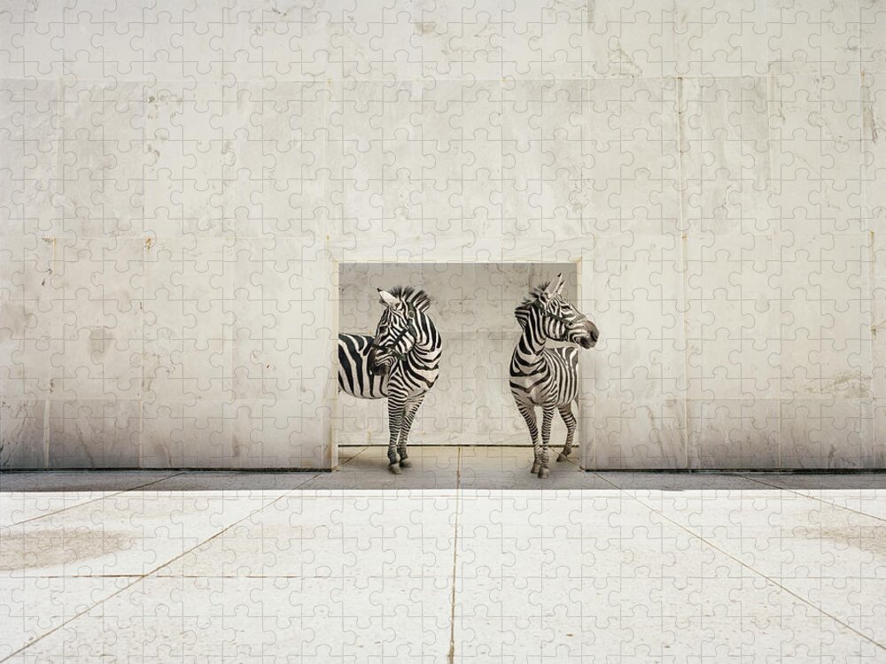 Out Of Context Jigsaw Puzzle featuring the photograph Two Zebras At Doorway Of Large White by Matthias Clamer