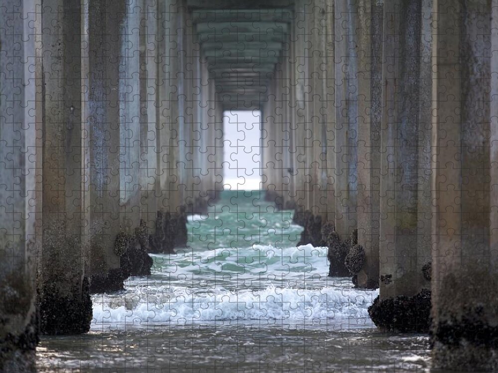 Water's Edge Jigsaw Puzzle featuring the photograph Under The Pier In La Jolla California by 3bugsmom