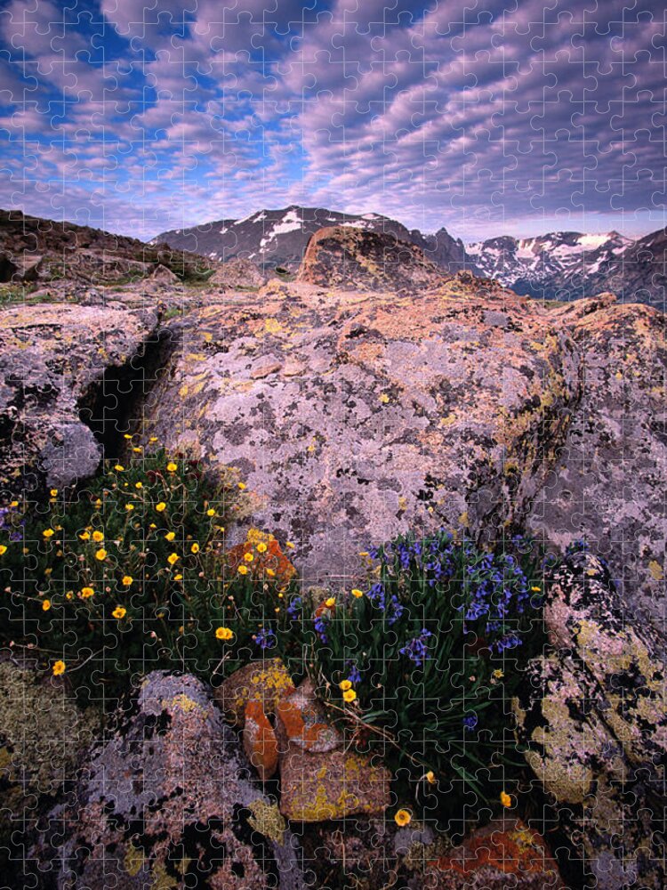 Scenics Jigsaw Puzzle featuring the photograph Usa, Colorado, Rocky Mountain Np by Art Wolfe