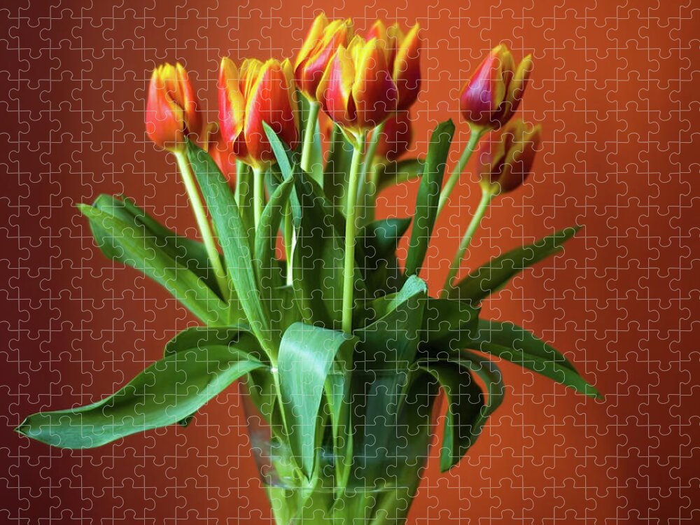 Vase Jigsaw Puzzle featuring the photograph Vase Of Yellow And Red Tulips by Justin Hoffmann Photography