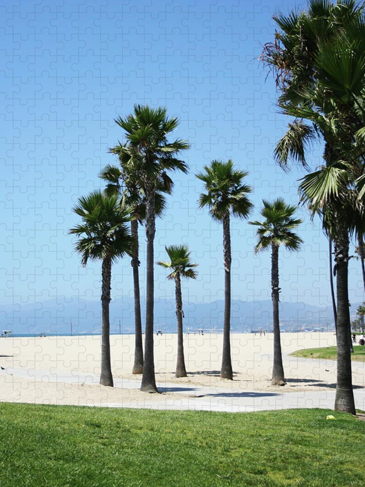 City Of Los Angeles Jigsaw Puzzle featuring the photograph Venice Beach, California by Lpettet