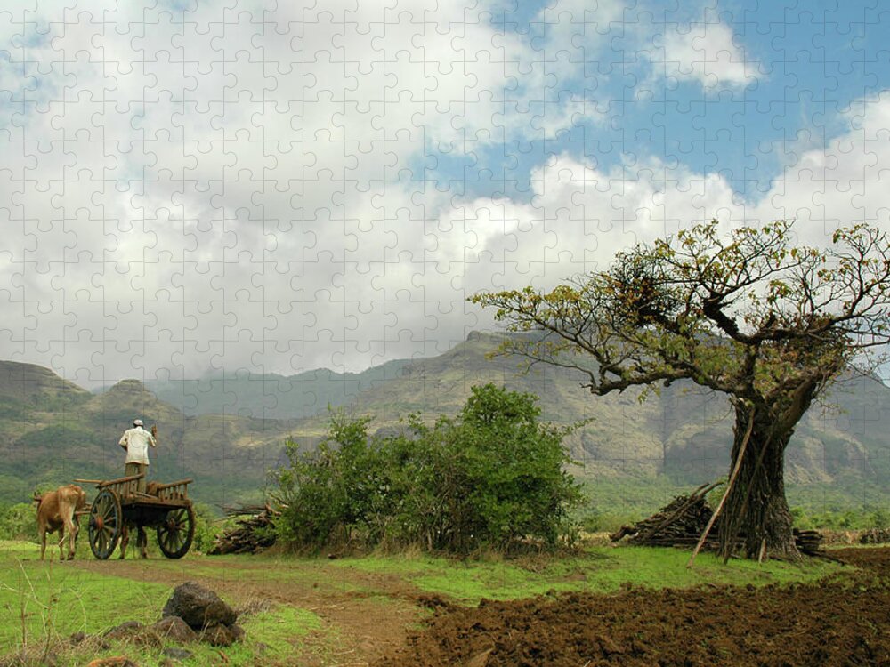 Working Animal Jigsaw Puzzle featuring the photograph Village Life by Abhinav Sah