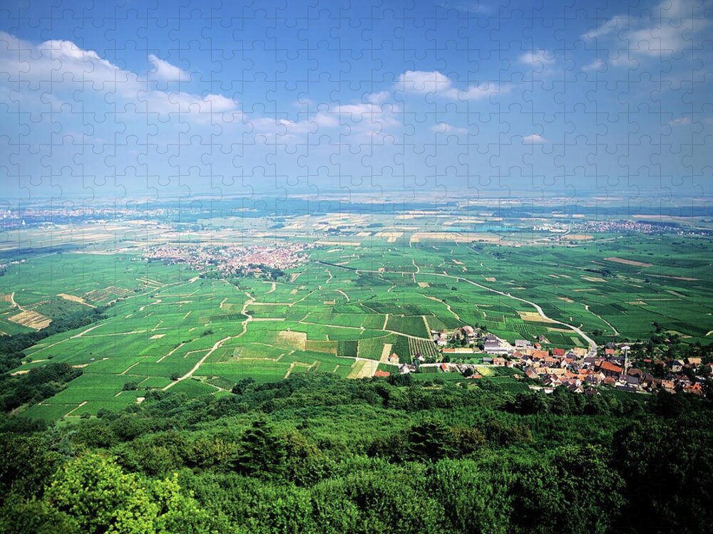 Colmar Jigsaw Puzzle featuring the photograph Vineyards by Kodachrome25