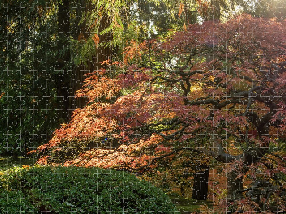 Garden Jigsaw Puzzle featuring the photograph Wake up Time by Jean Noren