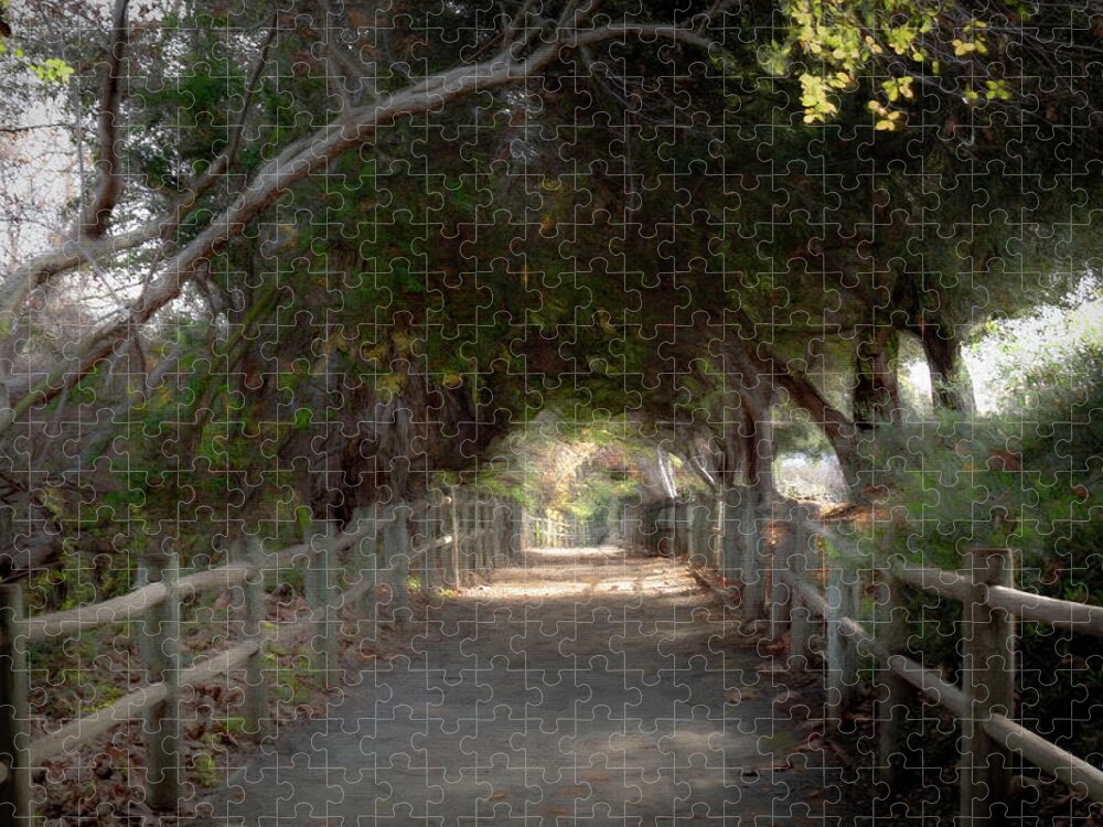 Trail Jigsaw Puzzle featuring the photograph Walking Trail by Alison Frank