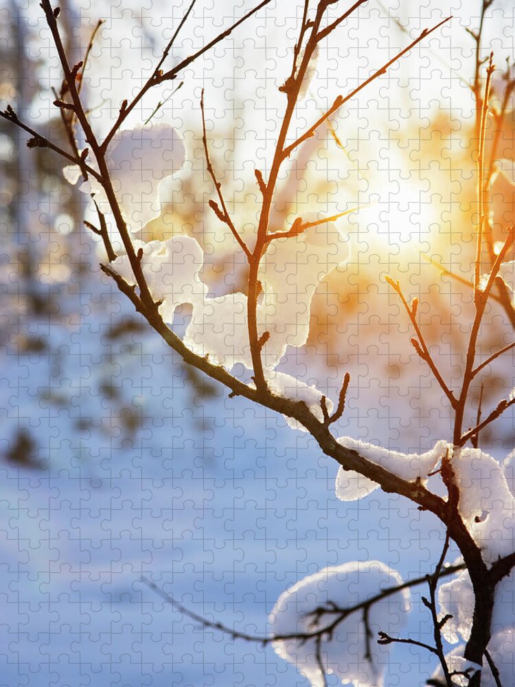Scenics Jigsaw Puzzle featuring the photograph Warm Winter Sun by Sykkel