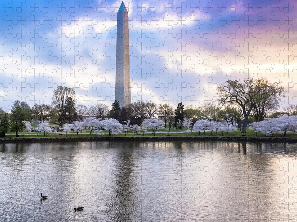 Tidal Basin Jigsaw Puzzle featuring the photograph Washington Monument With Cherry by Drnadig