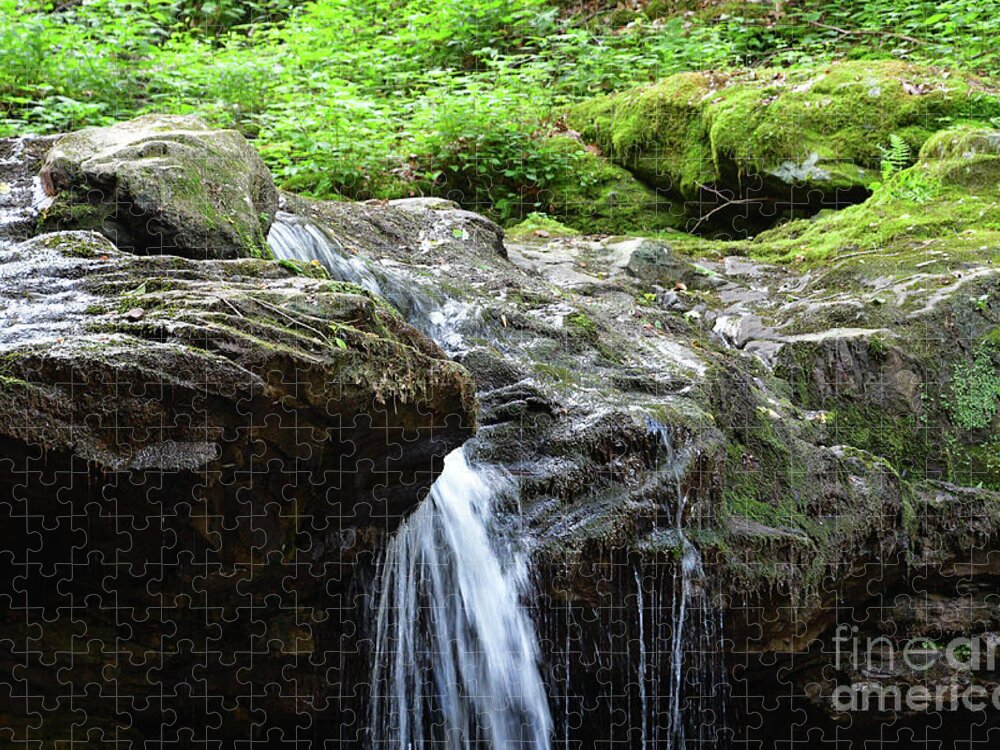 Water Jigsaw Puzzle featuring the photograph Water And Moss by Phil Perkins