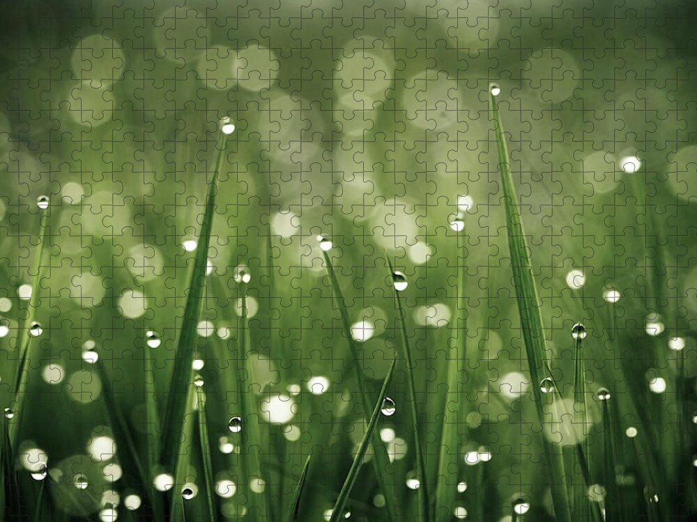 Grass Jigsaw Puzzle featuring the photograph Water Drops On Grass by Florence Barreau