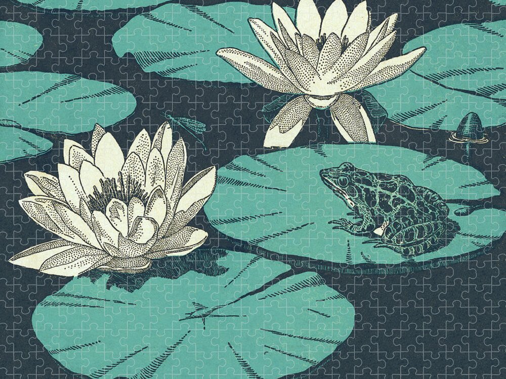 Amphibian Jigsaw Puzzle featuring the drawing Water Lillies and Toad by CSA Images