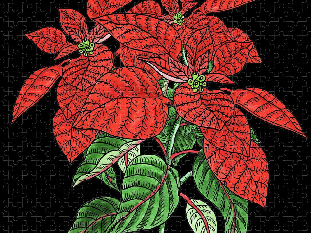 Poinsettia Jigsaw Puzzle featuring the painting Watercolor Flower Red Poinsettia Plant by Irina Sztukowski