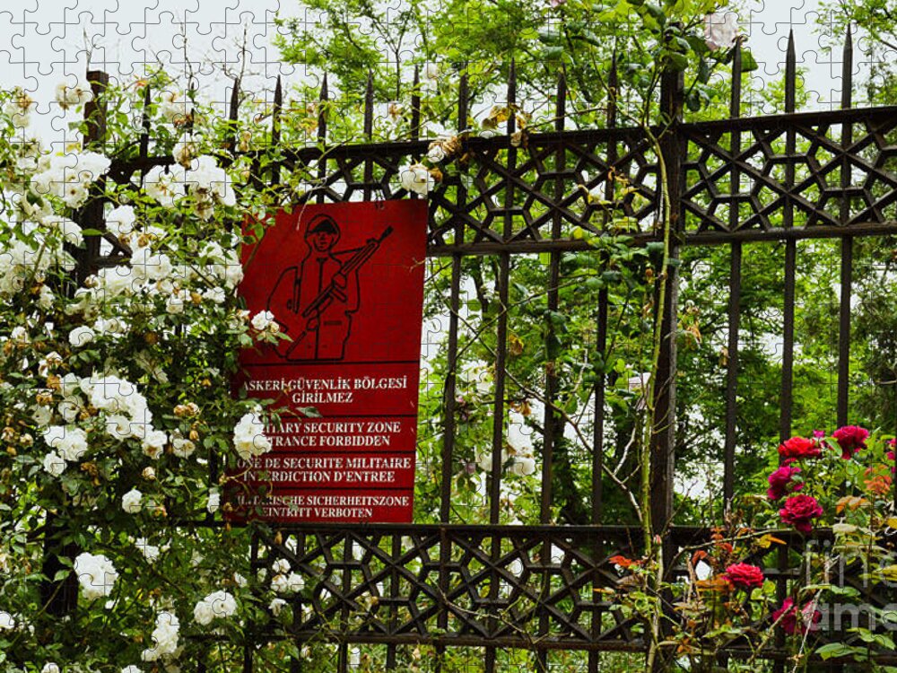 Fences Jigsaw Puzzle featuring the photograph When the roses won the war by Yavor Mihaylov