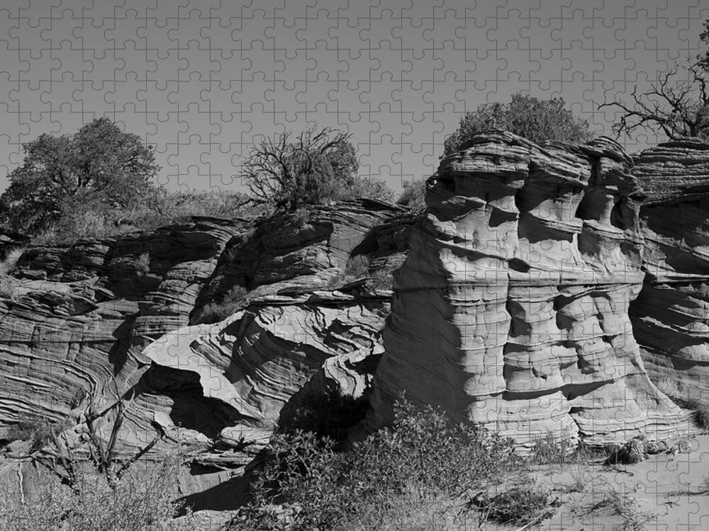  Jigsaw Puzzle featuring the photograph Whispering Rocks by Ivan Franklin