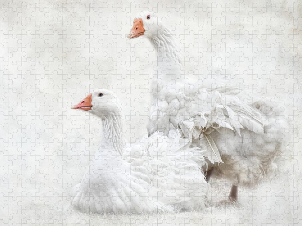 Geese Jigsaw Puzzle featuring the photograph White and Curly by Jai Johnson