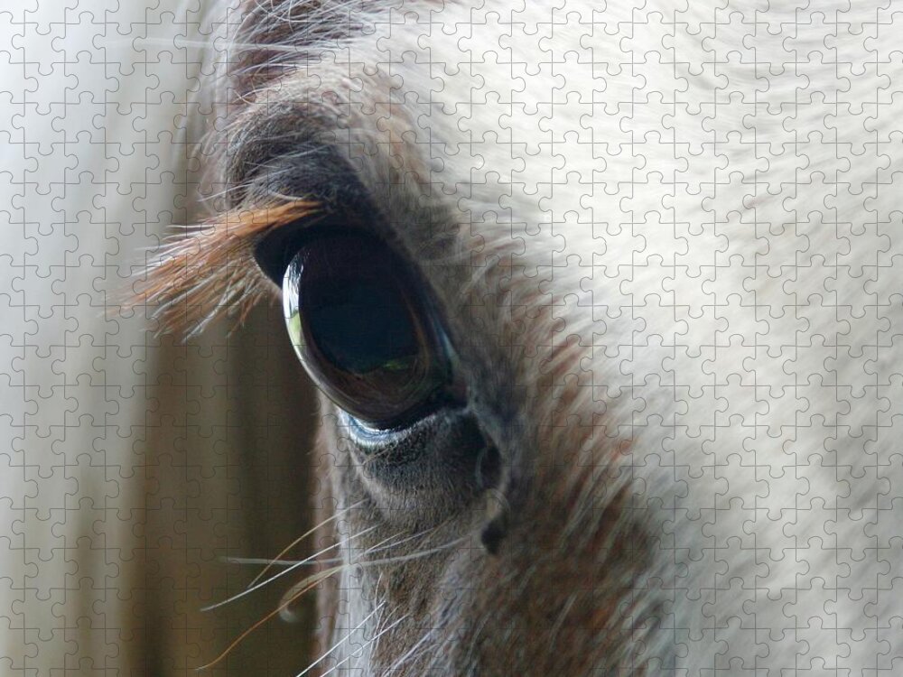 Animal Themes Jigsaw Puzzle featuring the photograph White Horse Eye by Doug88888